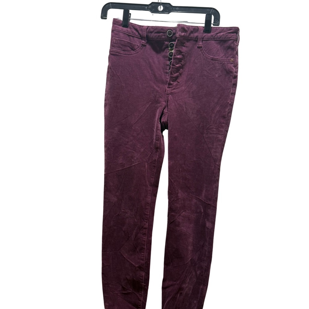 Anthropologie PILCRO Purple Skinny Pants